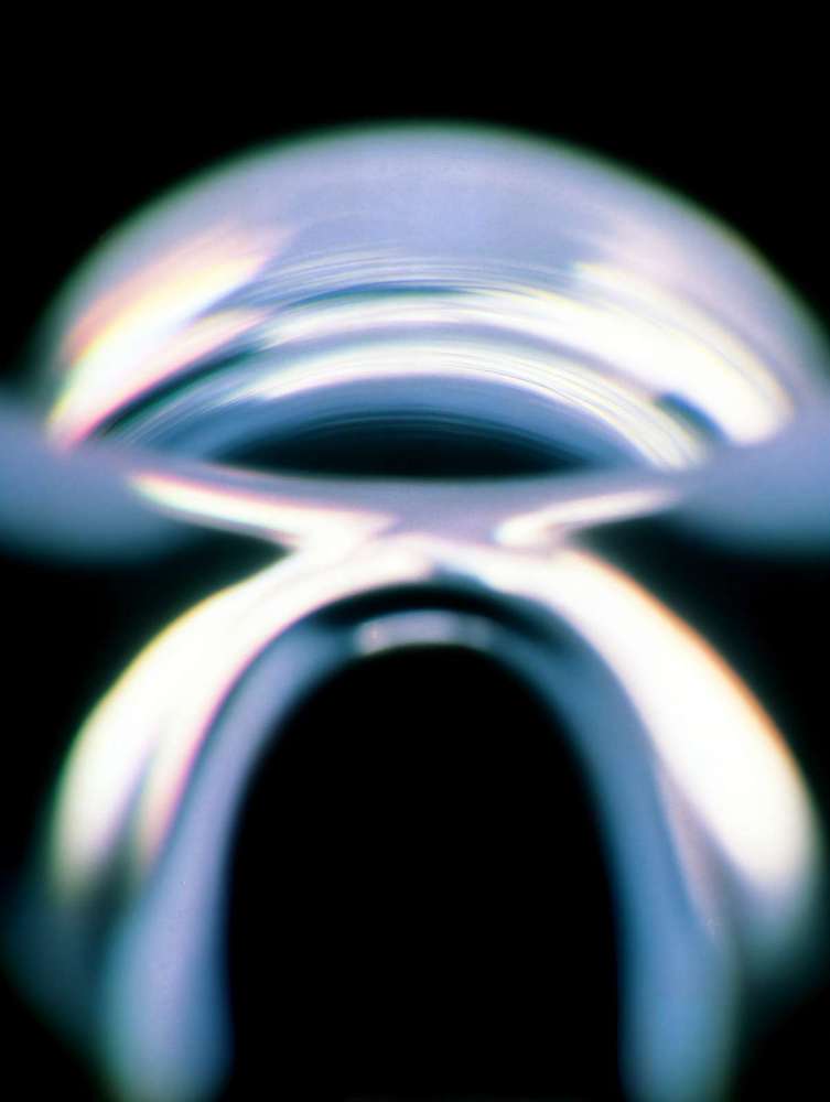 GL Loop